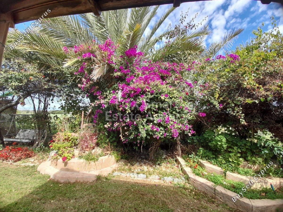 3 bedroom detached house for sale psematismenos larnaca 1387127 image 9218052