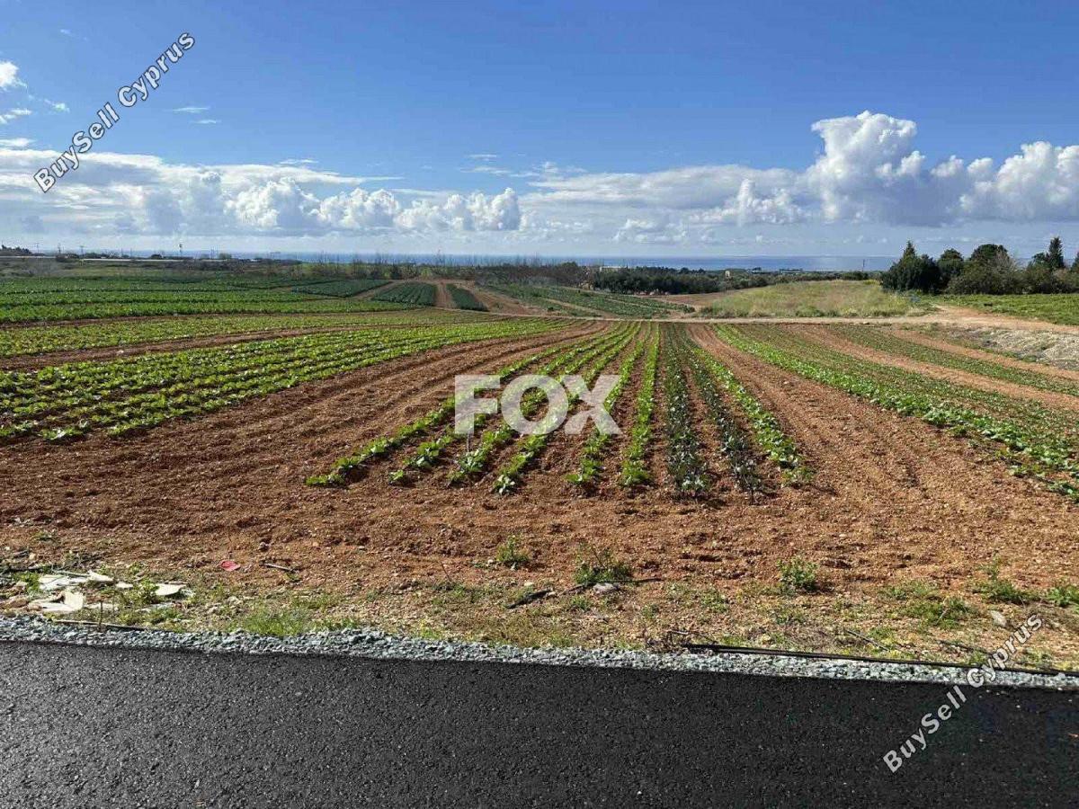 land for sale anarita paphos 1270127 image 5550689