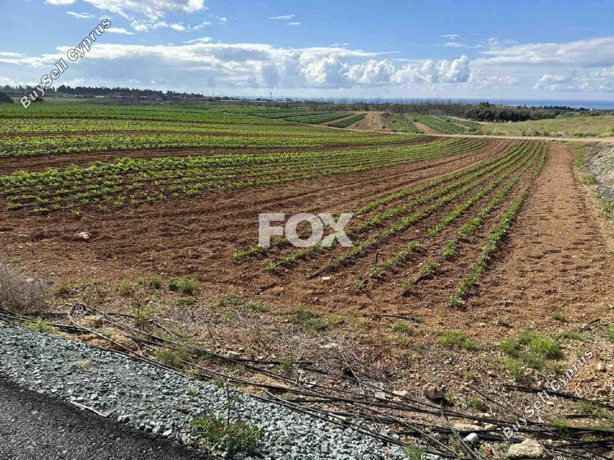 land for sale anarita paphos 1270127 image 5550691