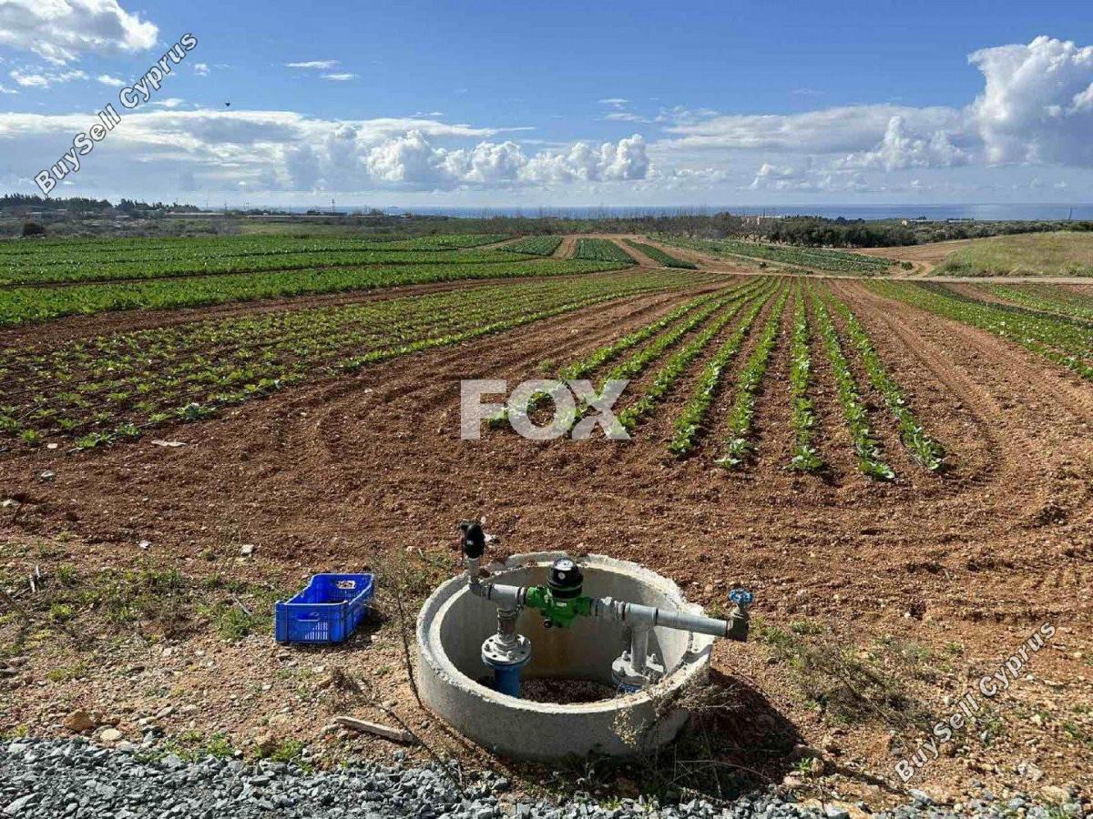 land for sale anarita paphos 1270127 image 5550693