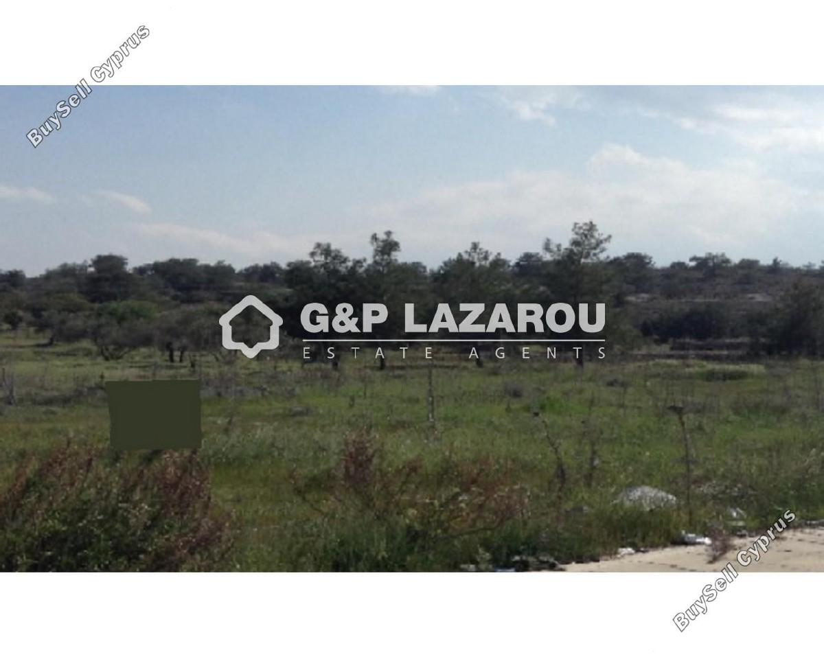 plot for sale kornos larnaca 1688127 image 5312772