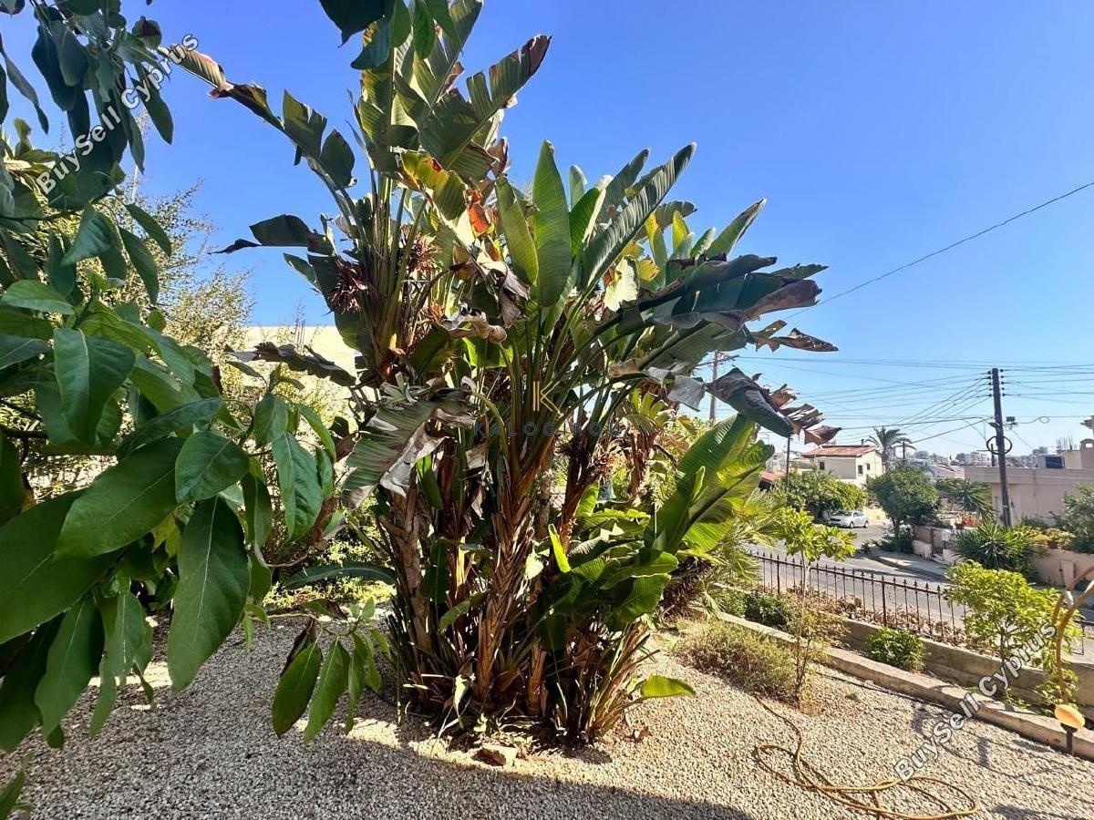 4 bedroom detached house for sale larnaca municipality larnaca 1840227 image 6573993