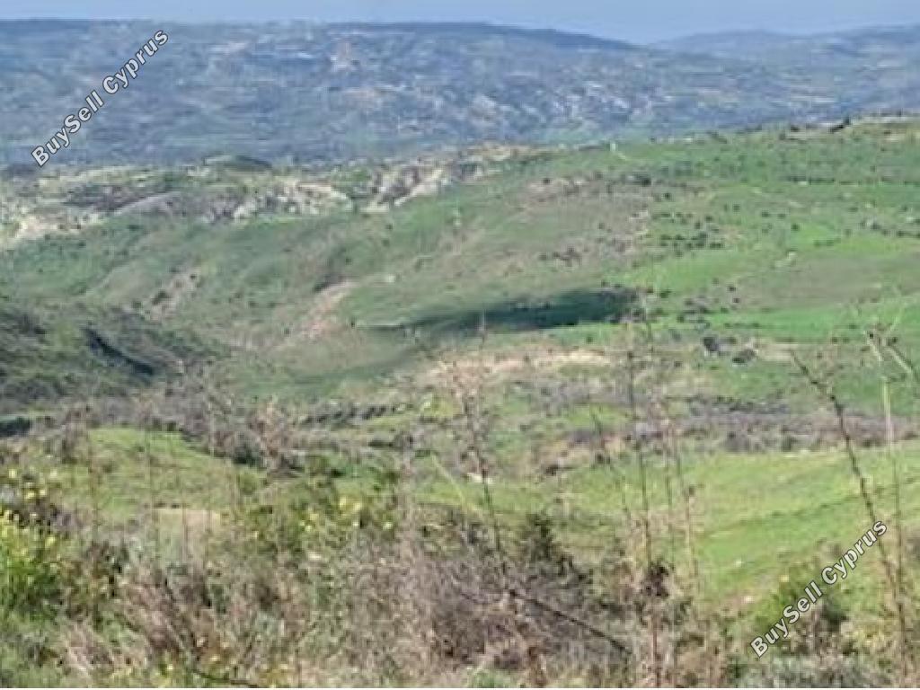 land for sale pentalia paphos 1785227 image 15597611