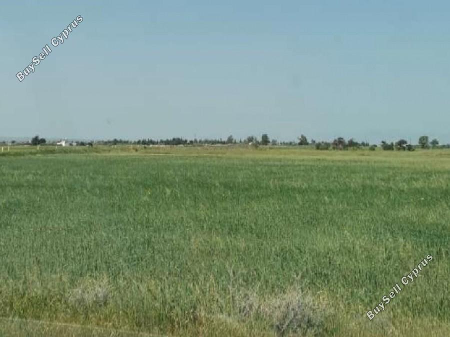 land for sale avgorou famagusta 8765327 image 16560283