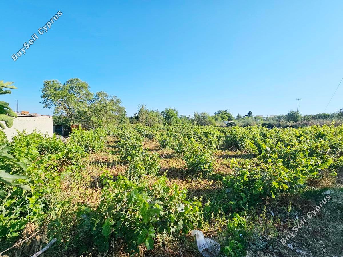 land for sale ineia paphos 8957327 image 17771939
