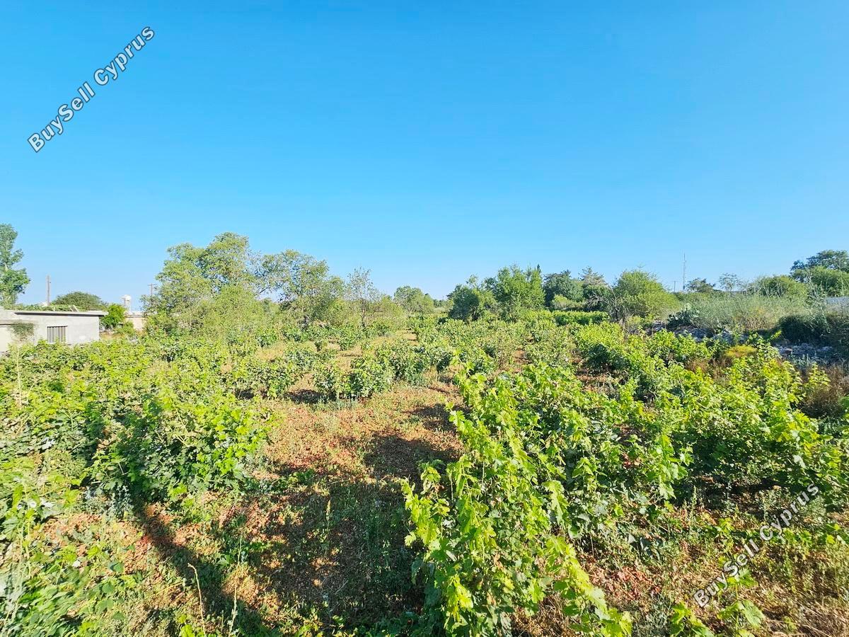 land for sale ineia paphos 8957327 image 17771940
