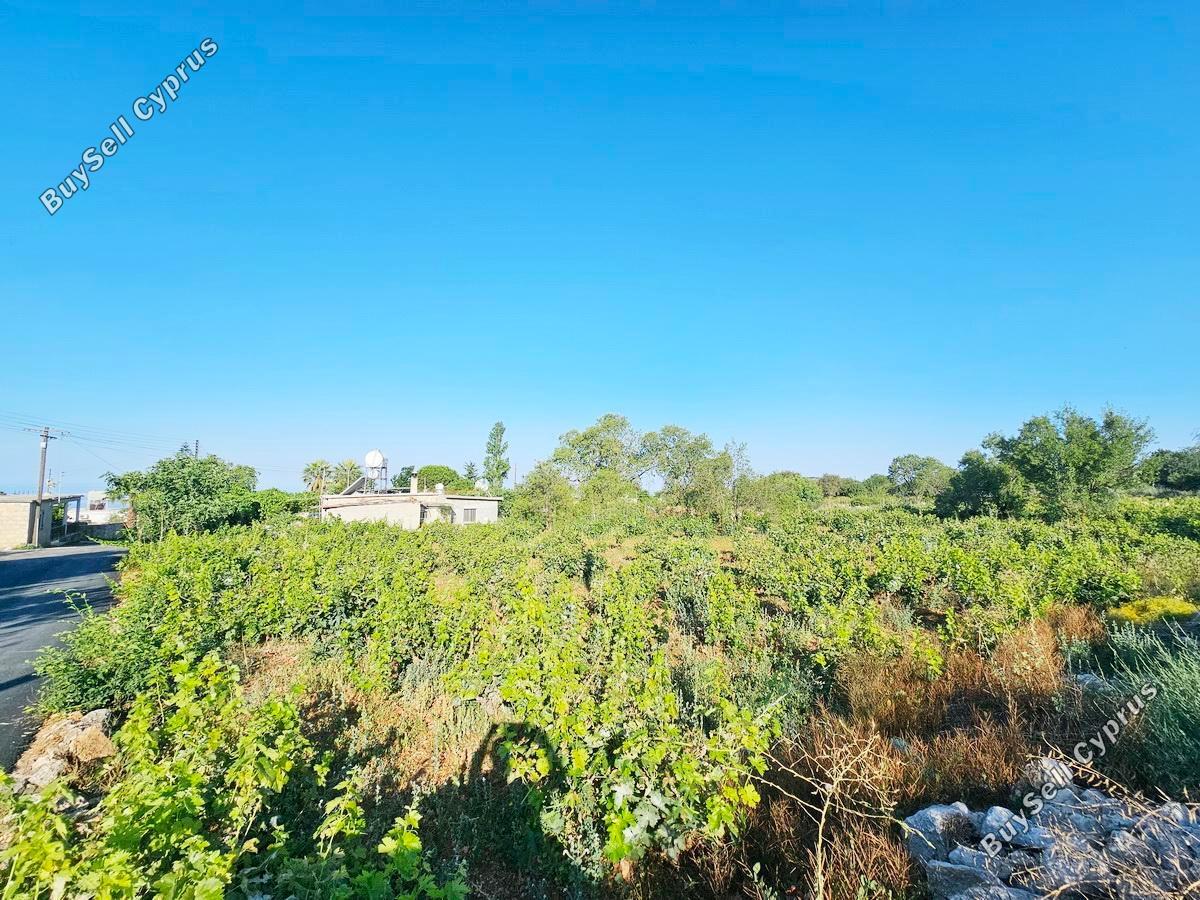 land for sale ineia paphos 8957327 image 17771941