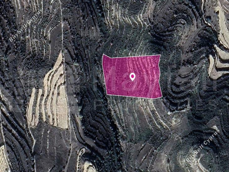 land for sale pachna limassol 7872327 image 11384867