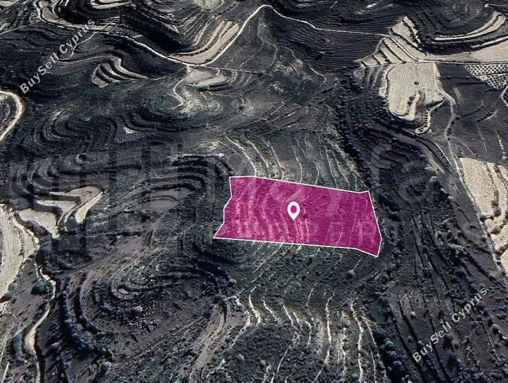 land for sale pachna limassol 7872327 image 11384868