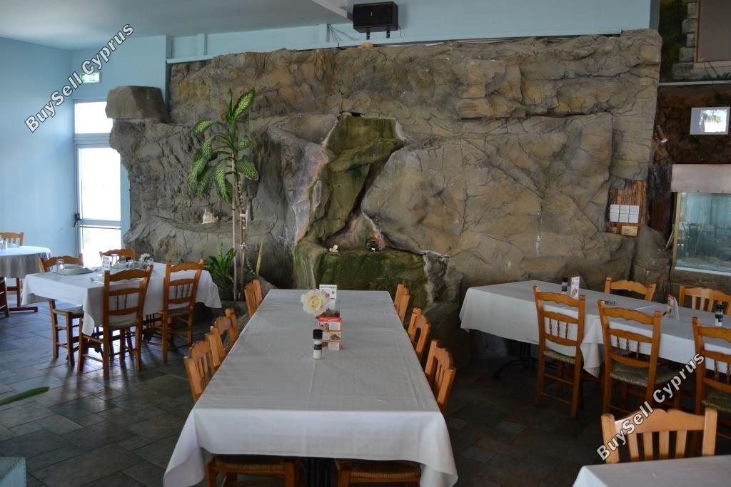 studio restaurant for sale mackenzie larnaca 8582327 image 15678575
