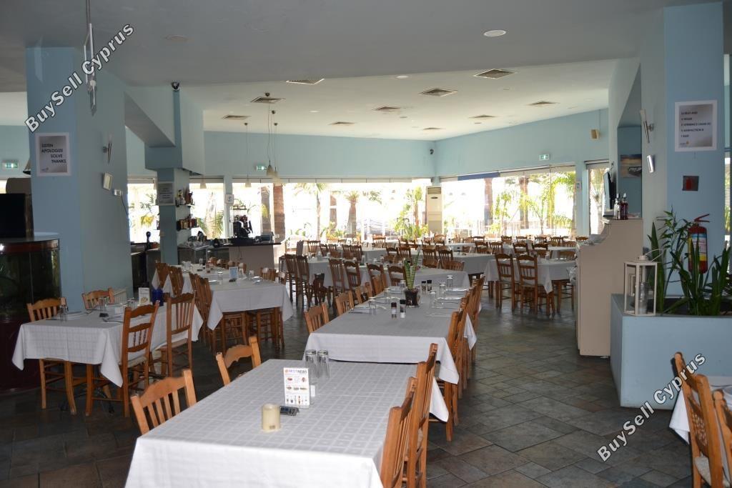 studio restaurant for sale mackenzie larnaca 8582327 image 15678576