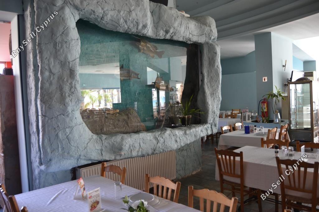 studio restaurant for sale mackenzie larnaca 8582327 image 15678578