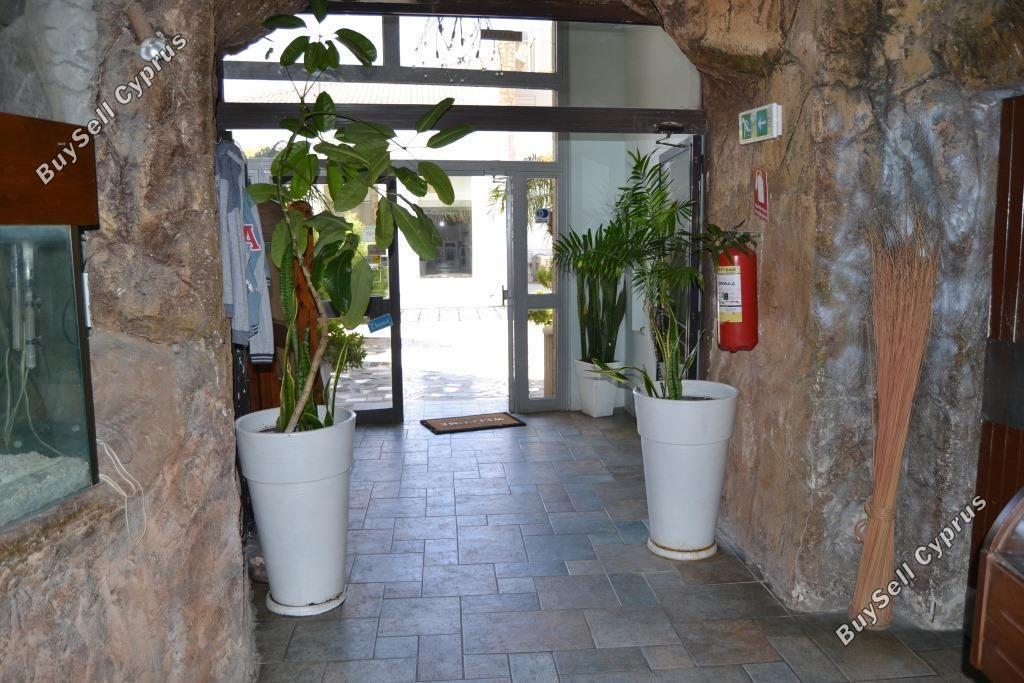studio restaurant for sale mackenzie larnaca 8582327 image 15678581