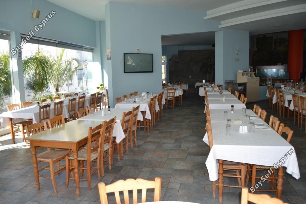 studio restaurant for sale mackenzie larnaca 8582327 image 15678584