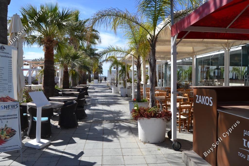 studio restaurant for sale mackenzie larnaca 8582327 image 15678589