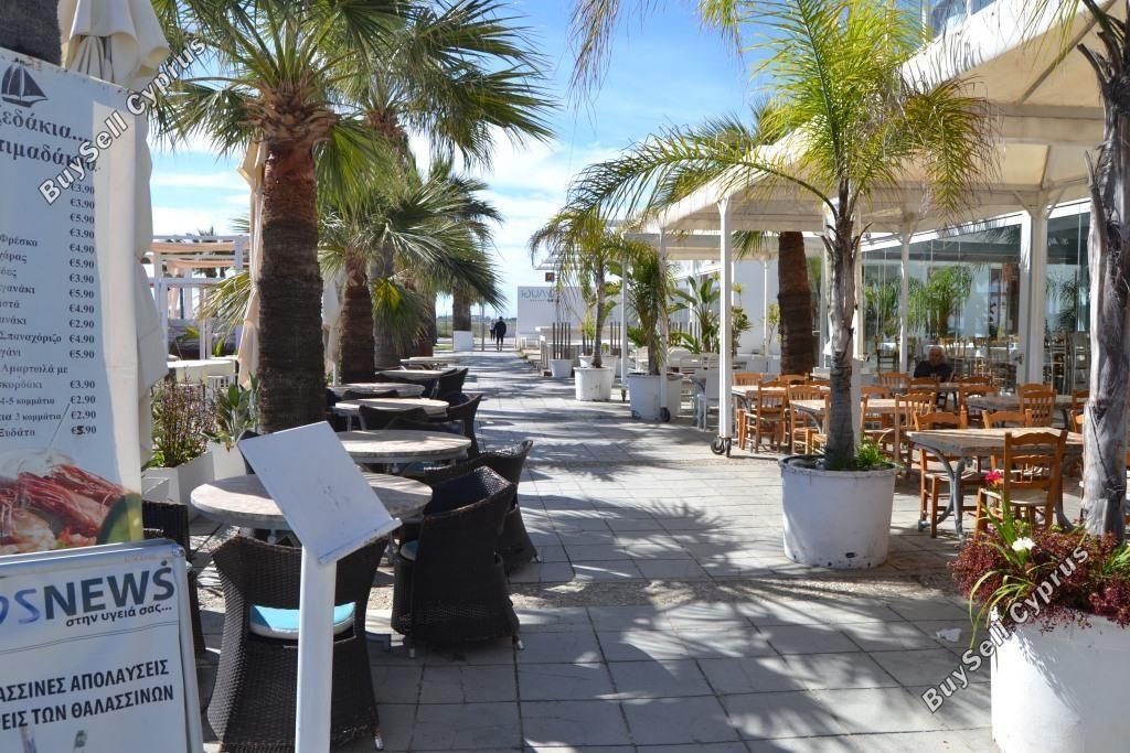 studio restaurant for sale mackenzie larnaca 8582327 image 15678590