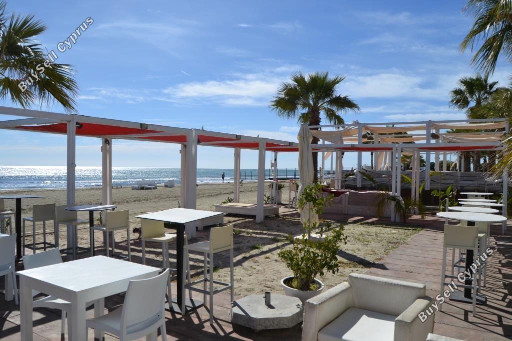 studio restaurant for sale mackenzie larnaca 8582327 image 15678591