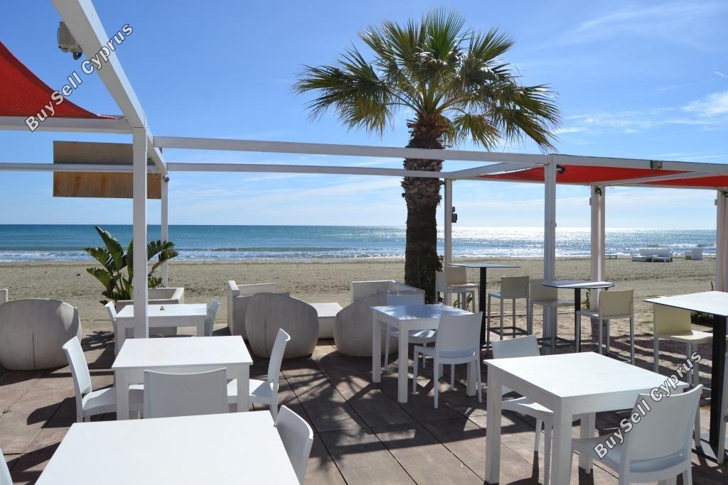studio restaurant for sale mackenzie larnaca 8582327 image 15678592
