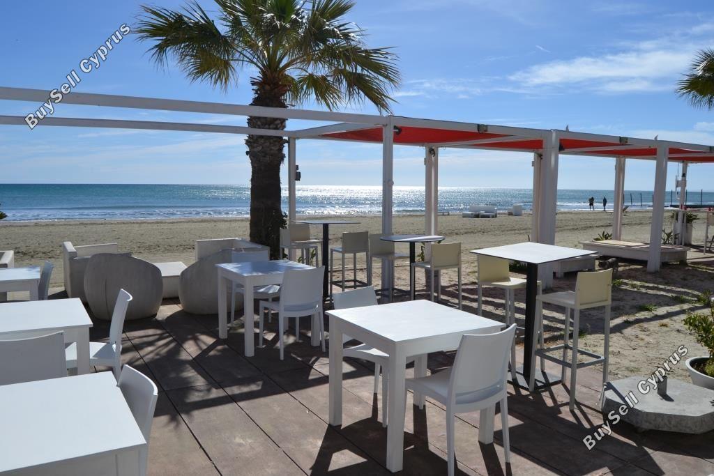 studio restaurant for sale mackenzie larnaca 8582327 image 15678593