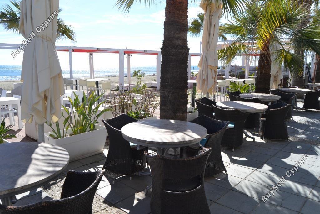 studio restaurant for sale mackenzie larnaca 8582327 image 15678594
