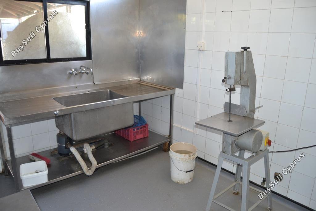studio restaurant for sale mackenzie larnaca 8582327 image 15678596