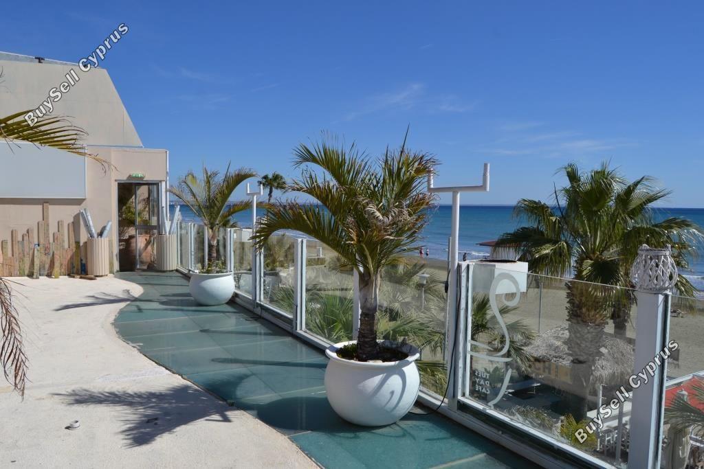 studio restaurant for sale mackenzie larnaca 8582327 image 15678607