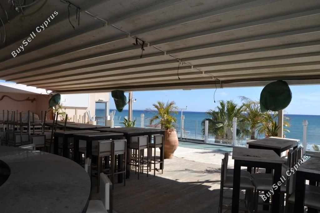studio restaurant for sale mackenzie larnaca 8582327 image 15678609
