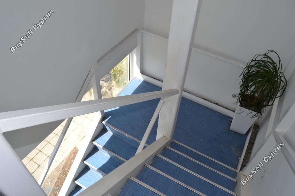 studio restaurant for sale mackenzie larnaca 8582327 image 15678611