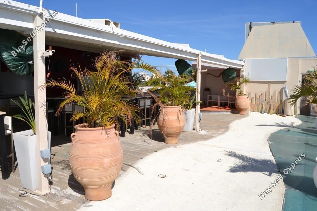 studio restaurant for sale mackenzie larnaca 8582327 image 15678615