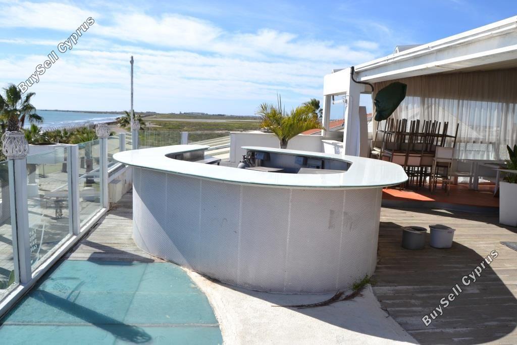 studio restaurant for sale mackenzie larnaca 8582327 image 15678617