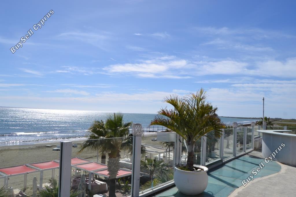studio restaurant for sale mackenzie larnaca 8582327 image 15678618