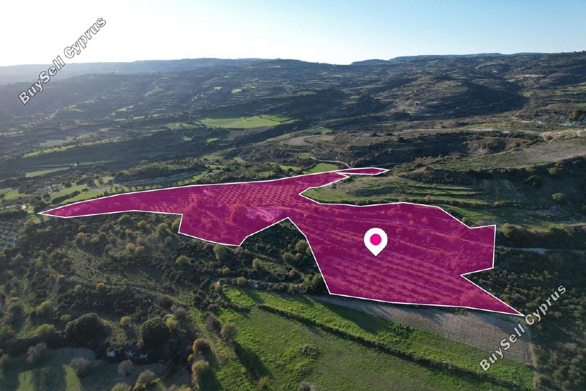 land for sale choulou paphos 1897427 image 14205570