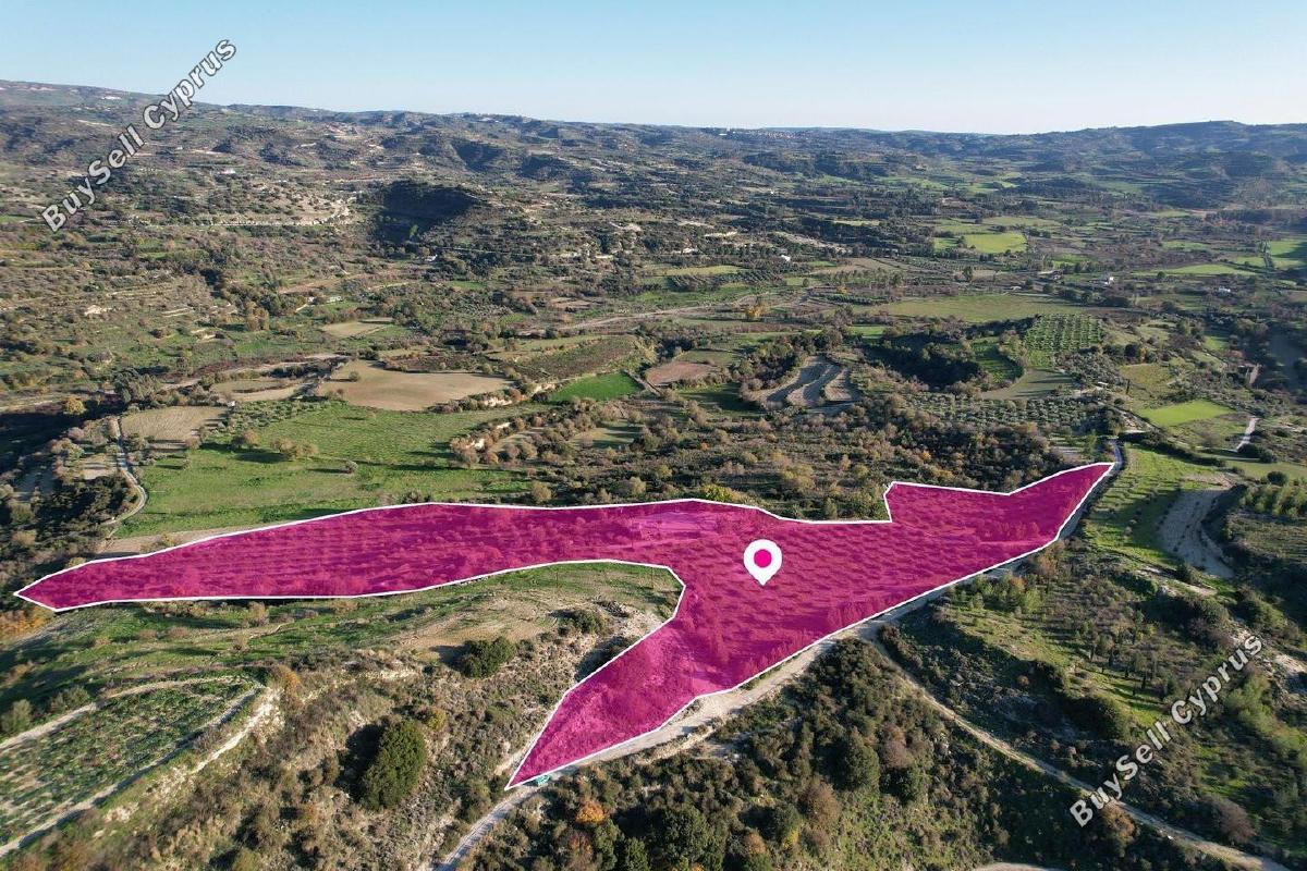 land for sale choulou paphos 1897427 image 14205571