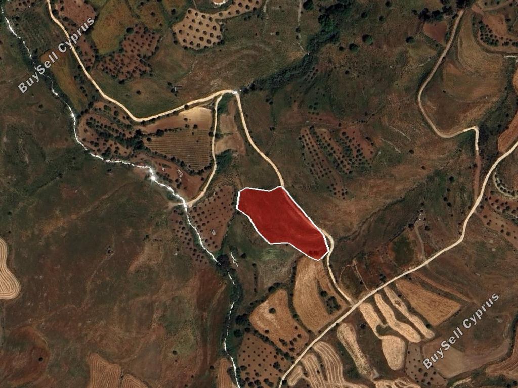 land for sale ineia paphos 1721427 image 15597406
