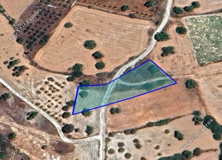 land for sale pano kivides limassol 1547427 image 5885396