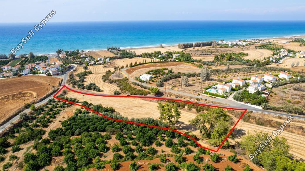 land for sale makounta paphos 8395527 image 14820119
