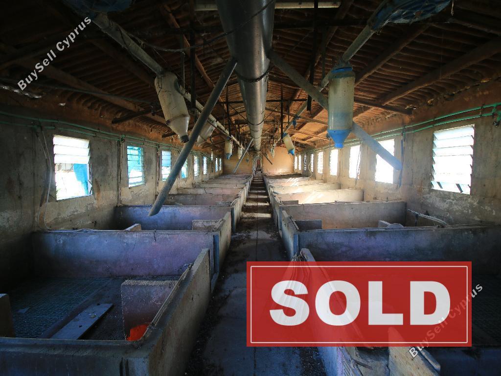 studio factory sold petrofani larnaca 1041527 image 4121062