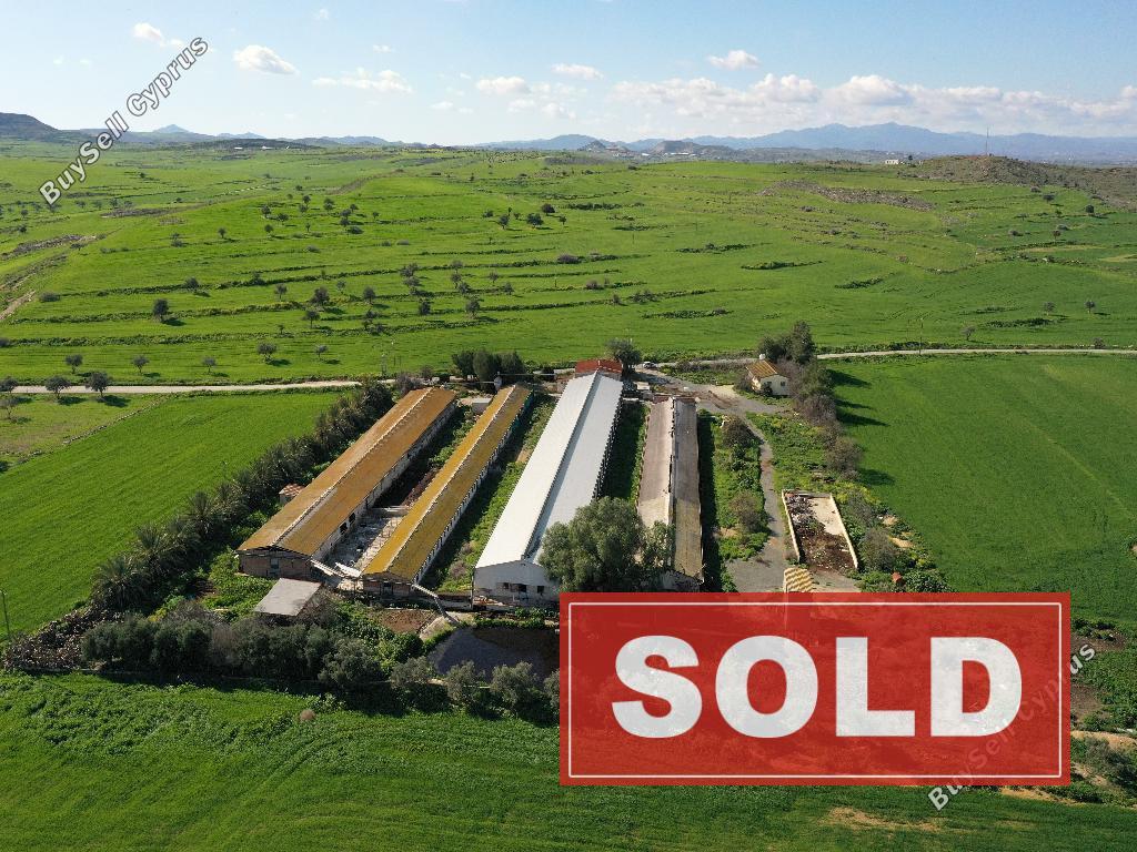 studio factory sold petrofani larnaca 1041527 image 4121066