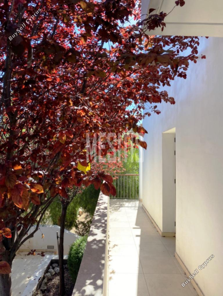 3 bedroom detached house for sale agrokipia nicosia 1205627 image 10493021