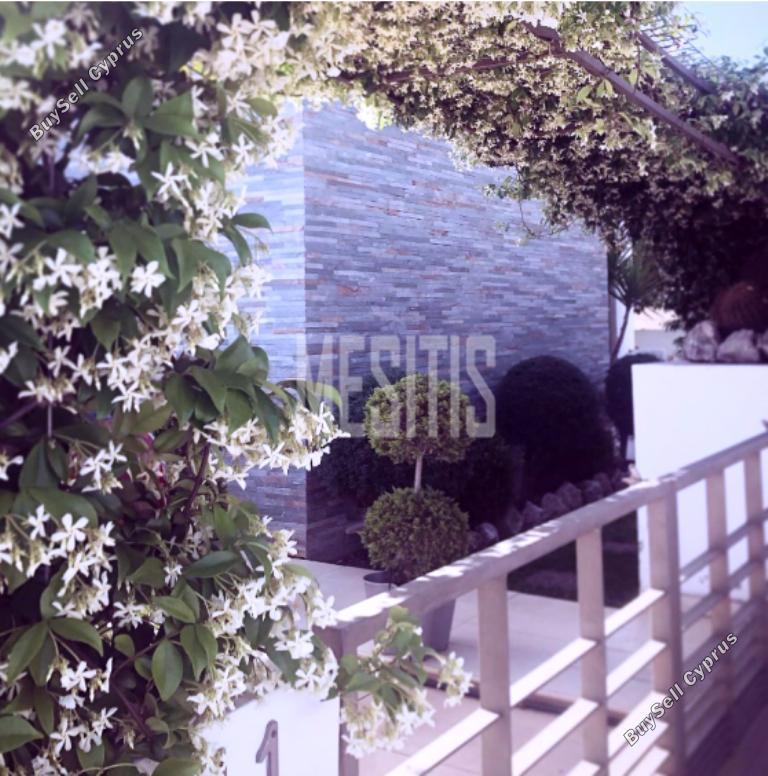 3 bedroom detached house for sale agrokipia nicosia 1205627 image 10493029