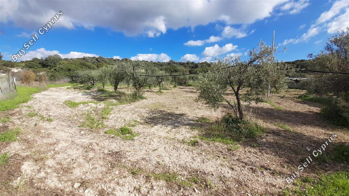 land for sale choirokoitia larnaca 1060627 image 16188026