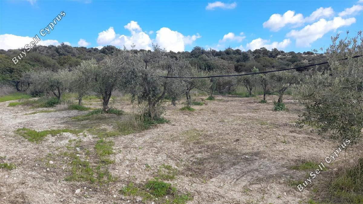 land for sale choirokoitia larnaca 1060627 image 16188032