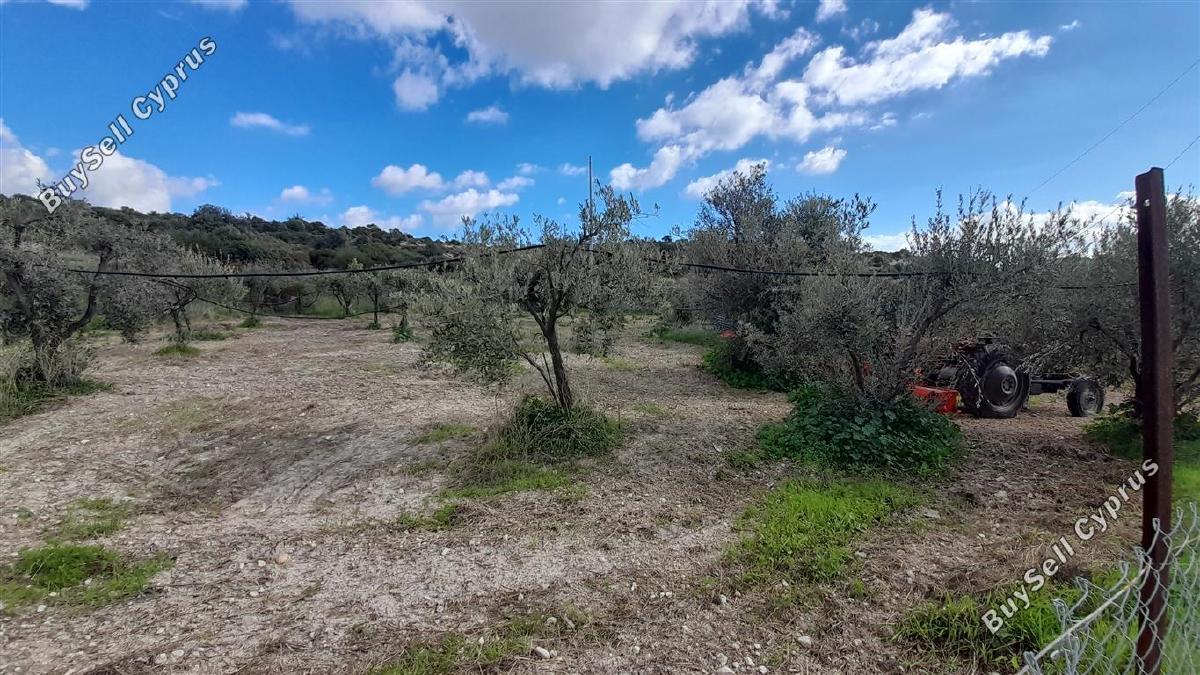 land for sale choirokoitia larnaca 1060627 image 16188034