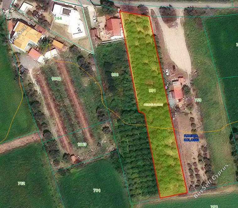 land for sale kolossi limassol 7966627 image 12216207