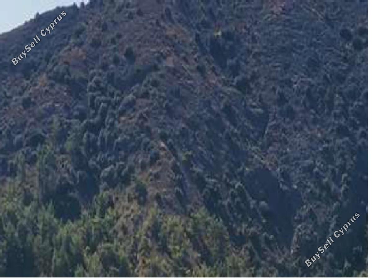land for sale pedoulas nicosia 8726627 image 16332892