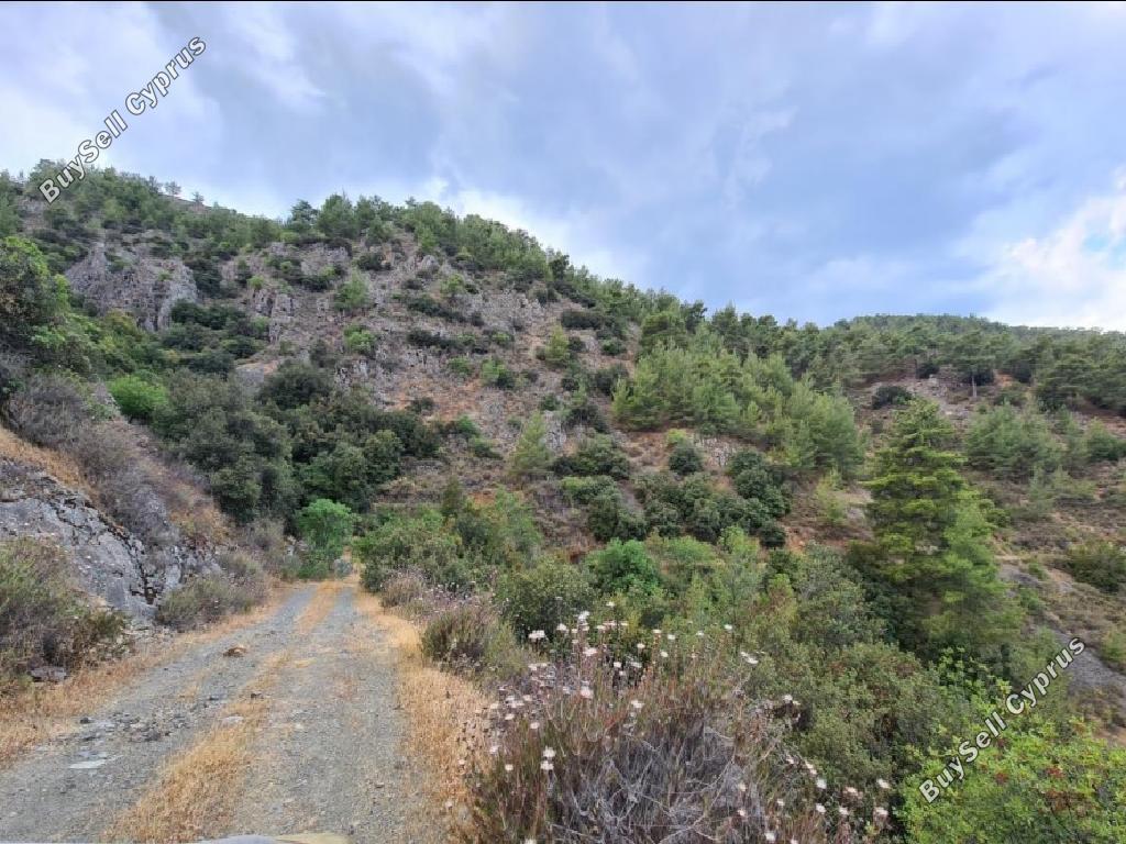 land for sale palaichori morfou nicosia 954727 image 15602338