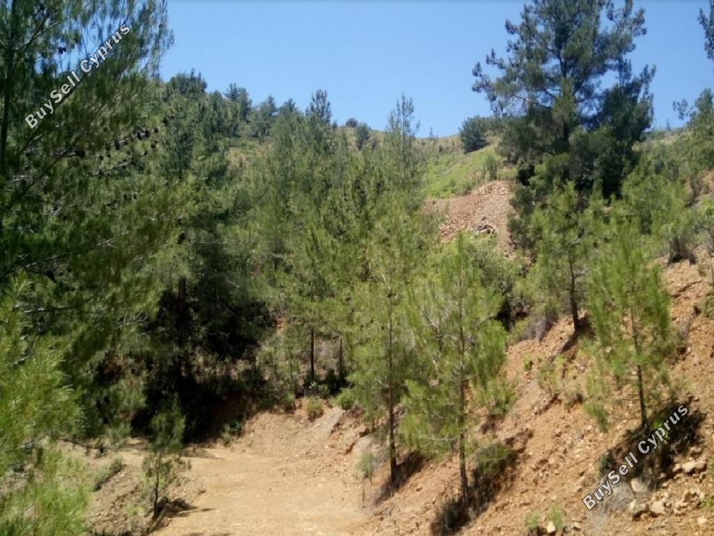 land for sale pedoulas nicosia 945727 image 15603321