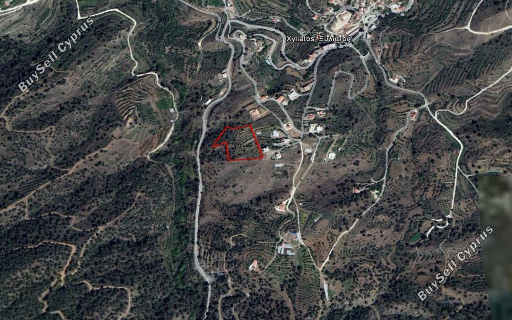 land for sale xyliatos nicosia 829727 image 15664043