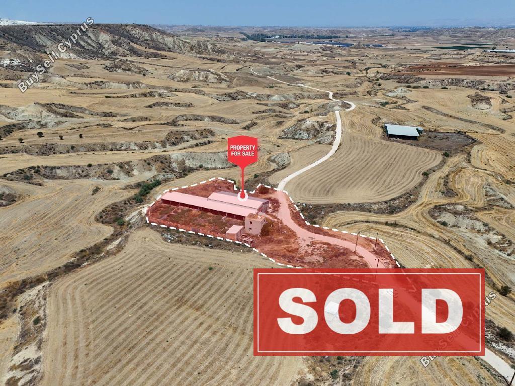 studio farm sold malounta nicosia 1479727 image 3574581
