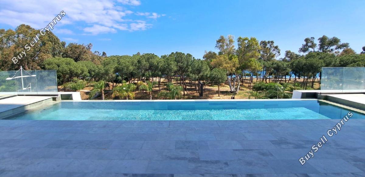 2 bedroom apartment for rent potamos germasogeias limassol 8785827 image 16659574